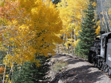Aspens